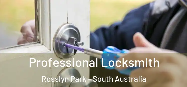 Professional Locksmith Rosslyn Park - South Australia