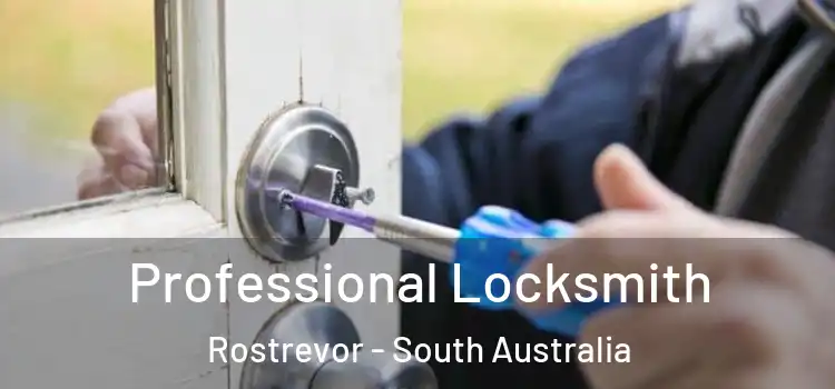 Professional Locksmith Rostrevor - South Australia