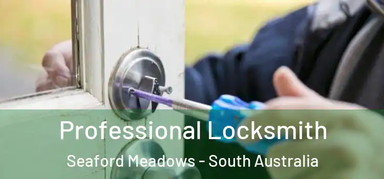 Professional Locksmith Seaford Meadows - South Australia