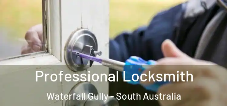 Professional Locksmith Waterfall Gully - South Australia