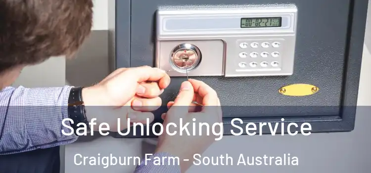 Safe Unlocking Service Craigburn Farm - South Australia