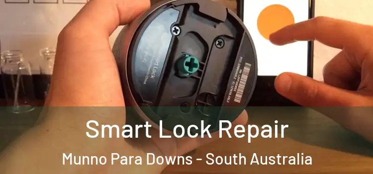Smart Lock Repair Munno Para Downs - South Australia