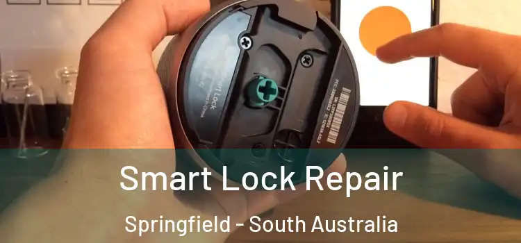 Smart Lock Repair Springfield - South Australia