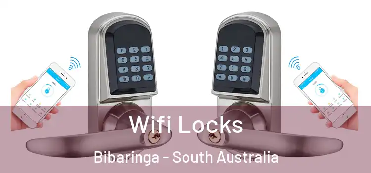 Wifi Locks Bibaringa - South Australia