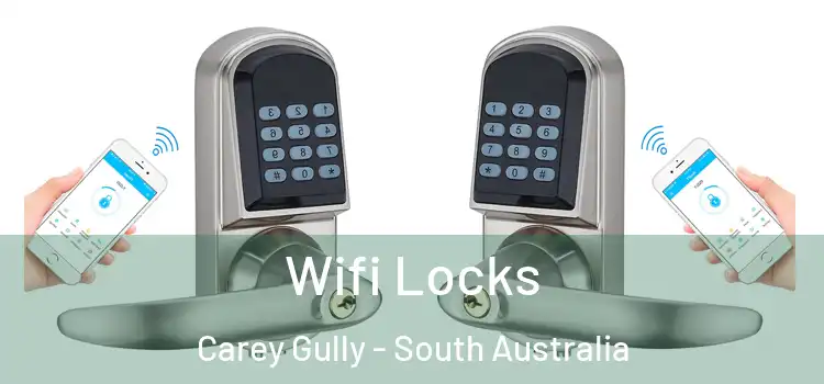 Wifi Locks Carey Gully - South Australia