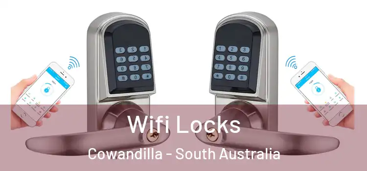 Wifi Locks Cowandilla - South Australia