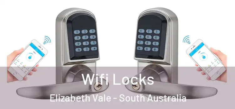 Wifi Locks Elizabeth Vale - South Australia