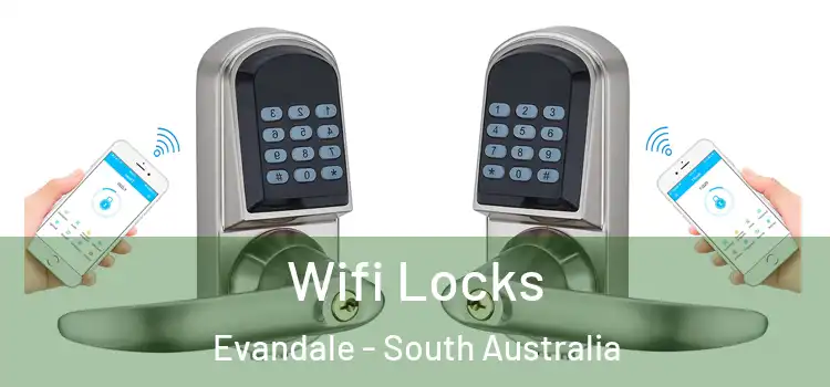 Wifi Locks Evandale - South Australia