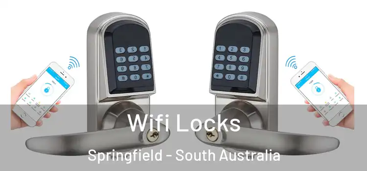 Wifi Locks Springfield - South Australia