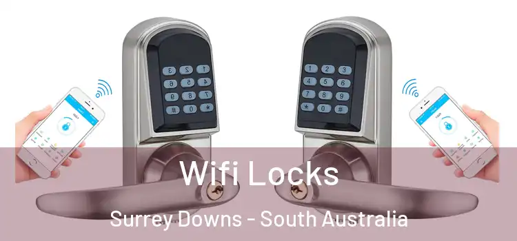 Wifi Locks Surrey Downs - South Australia