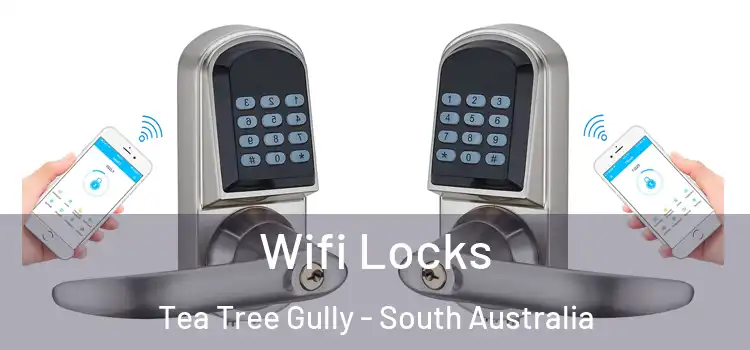 Wifi Locks Tea Tree Gully - South Australia